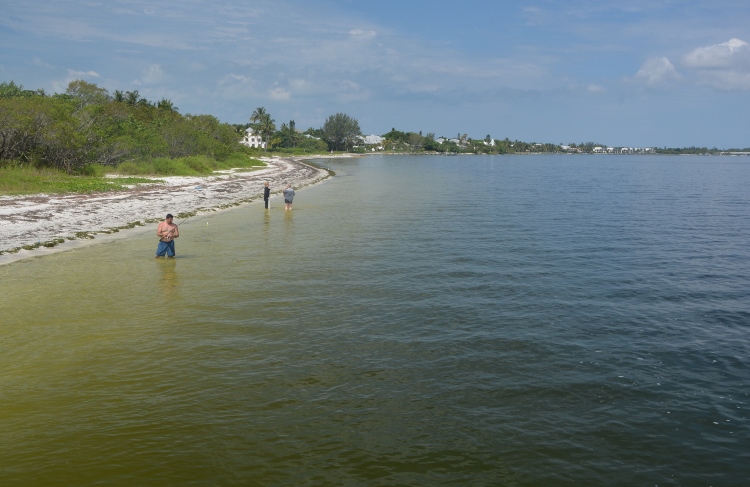  Sanibel lighthouse